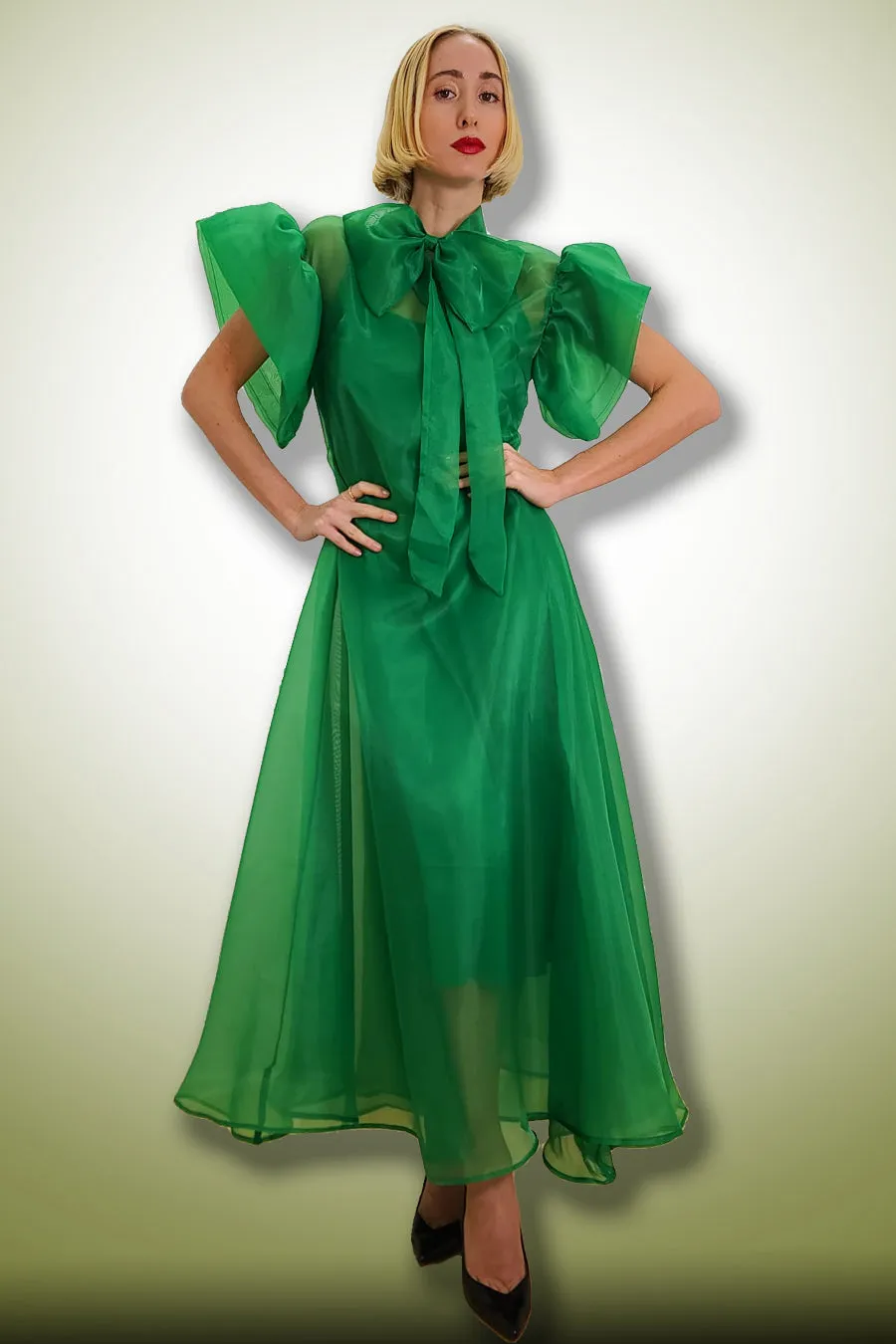 Flutter Sleeve Chiffon Ribbon Long Dress
