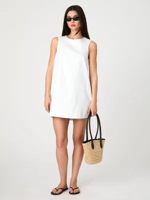 Pinstripe Sleeveless Shift Dress